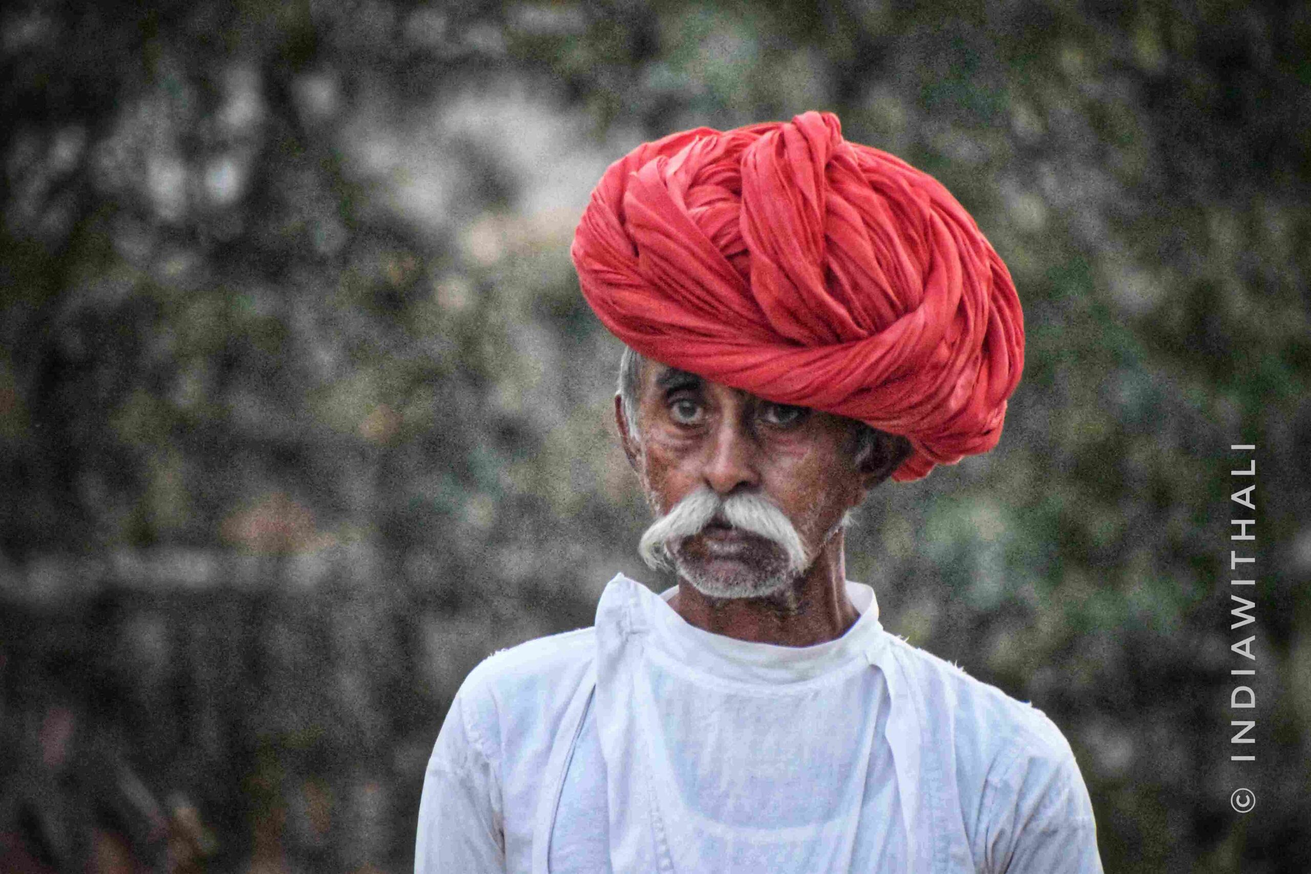 DSC_0276_093605-01.jpeg_21_11zon