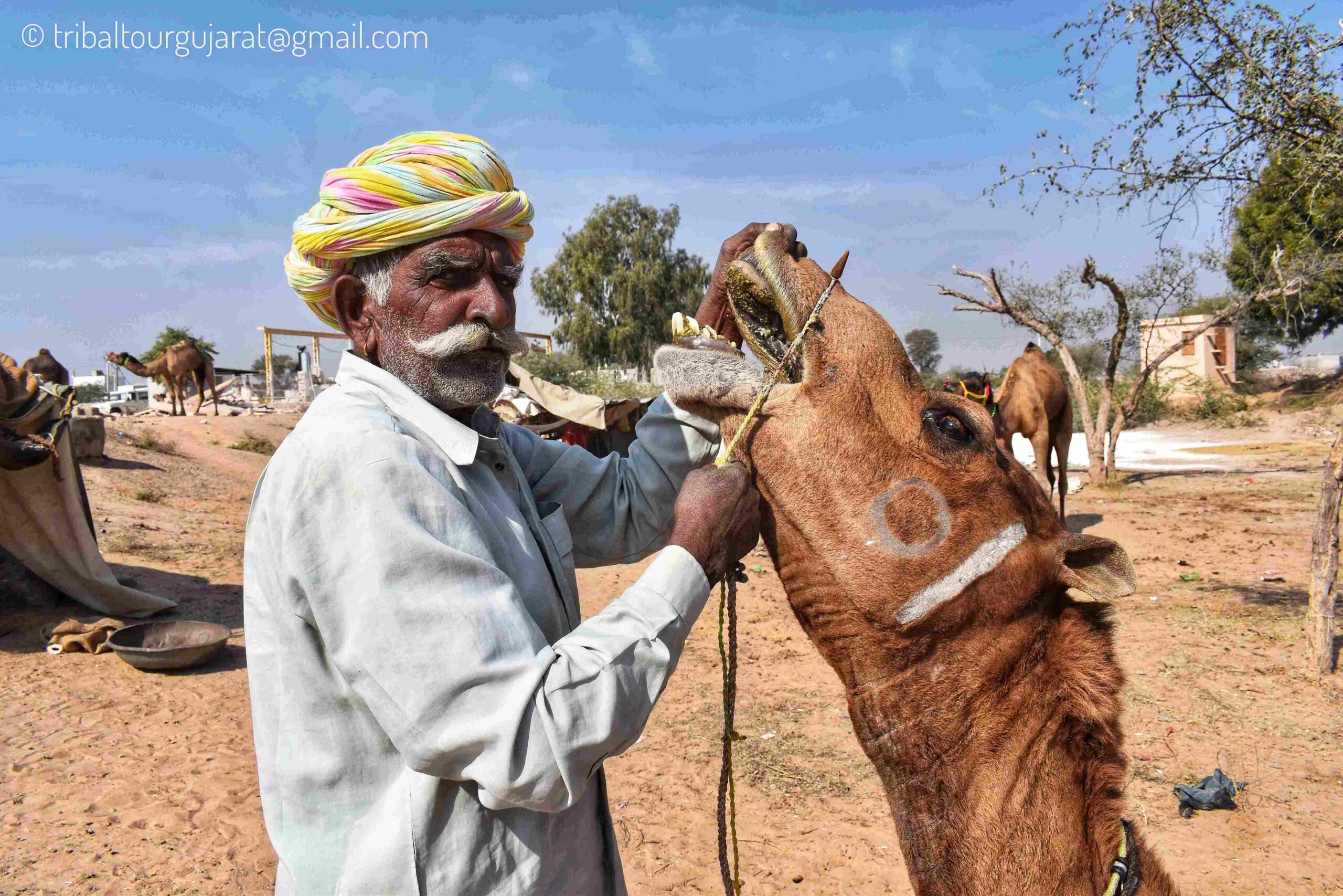 DSC_0373-01.jpeg_23_11zon