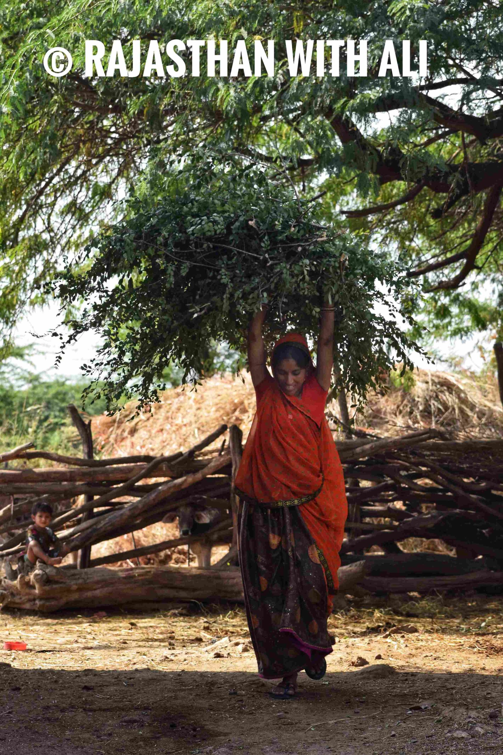 DSC_0496-01.jpeg_25_11zon