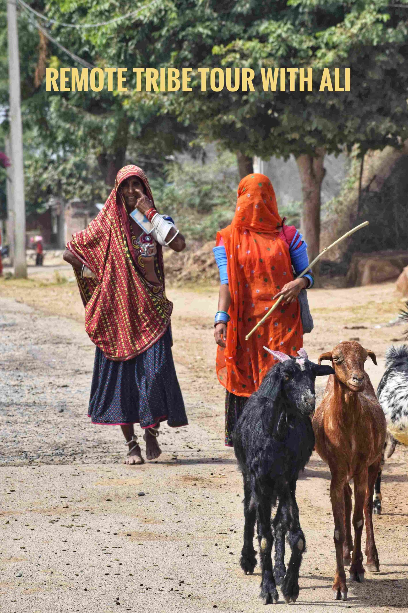 DSC_0621-01.jpeg_29_11zon