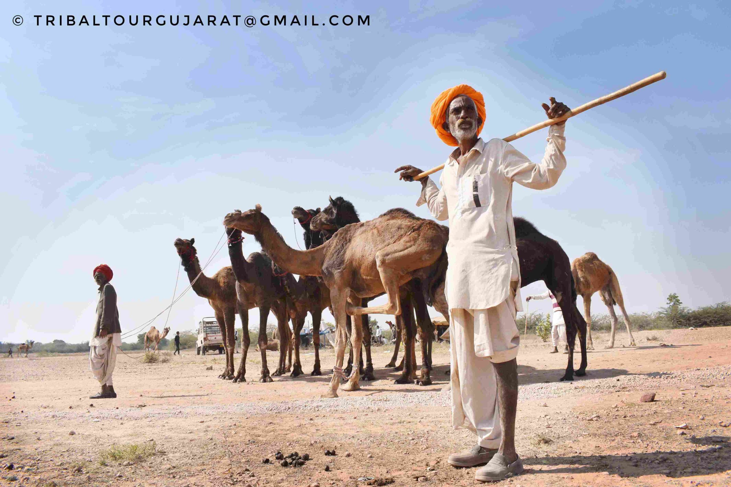 DSC_0642-01.jpeg_30_11zon