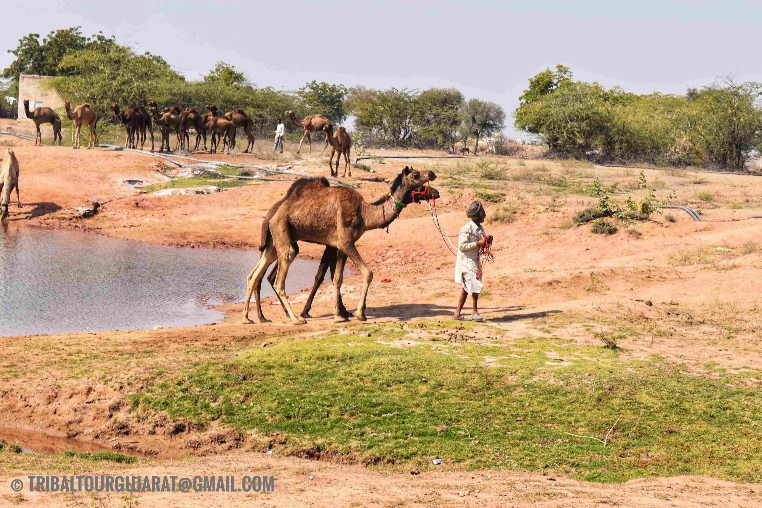 DSC_0652-01.jpeg_31_11zon