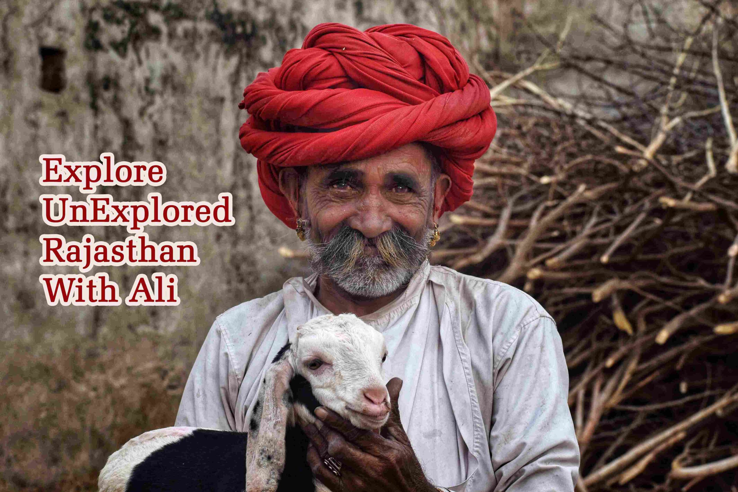 DSC_0810-01_34_11zon