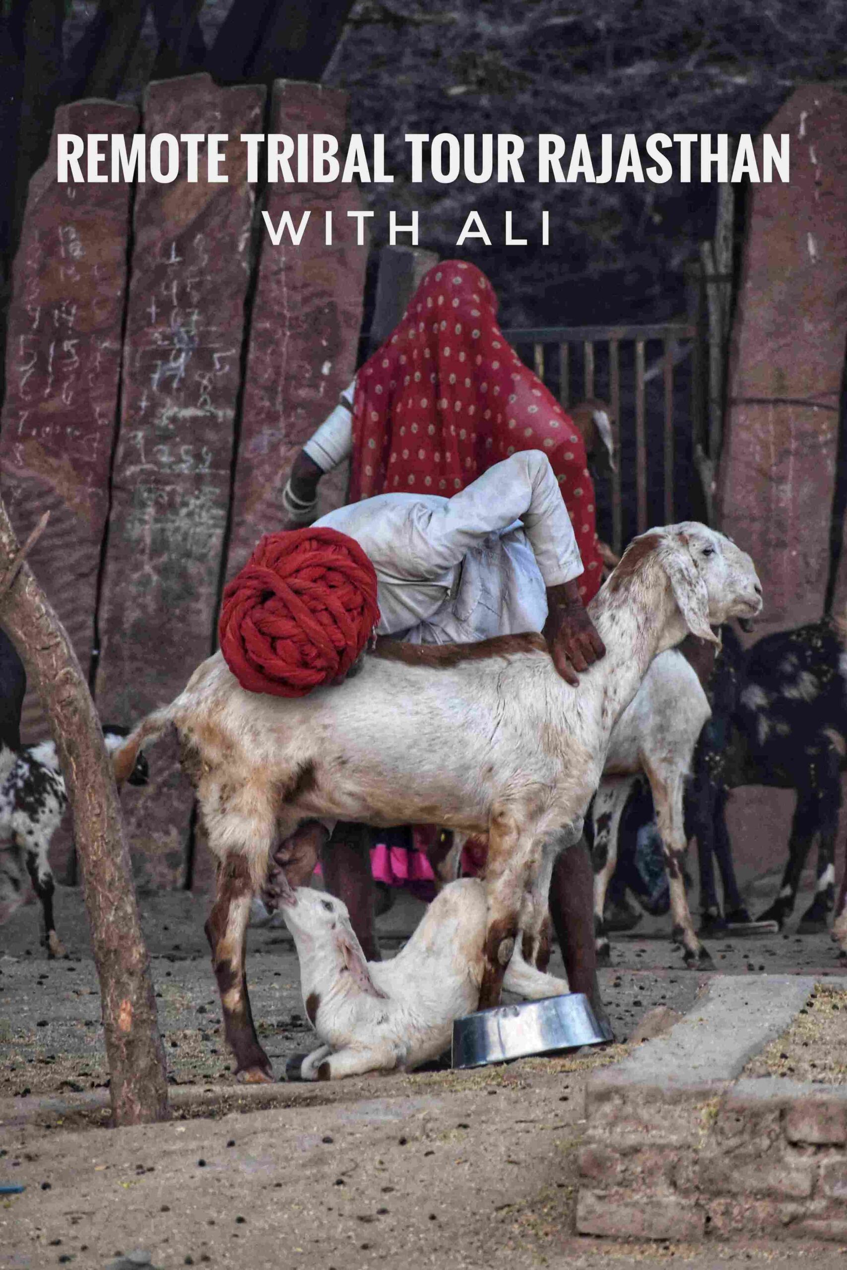 DSC_0854-01.jpeg_35_11zon