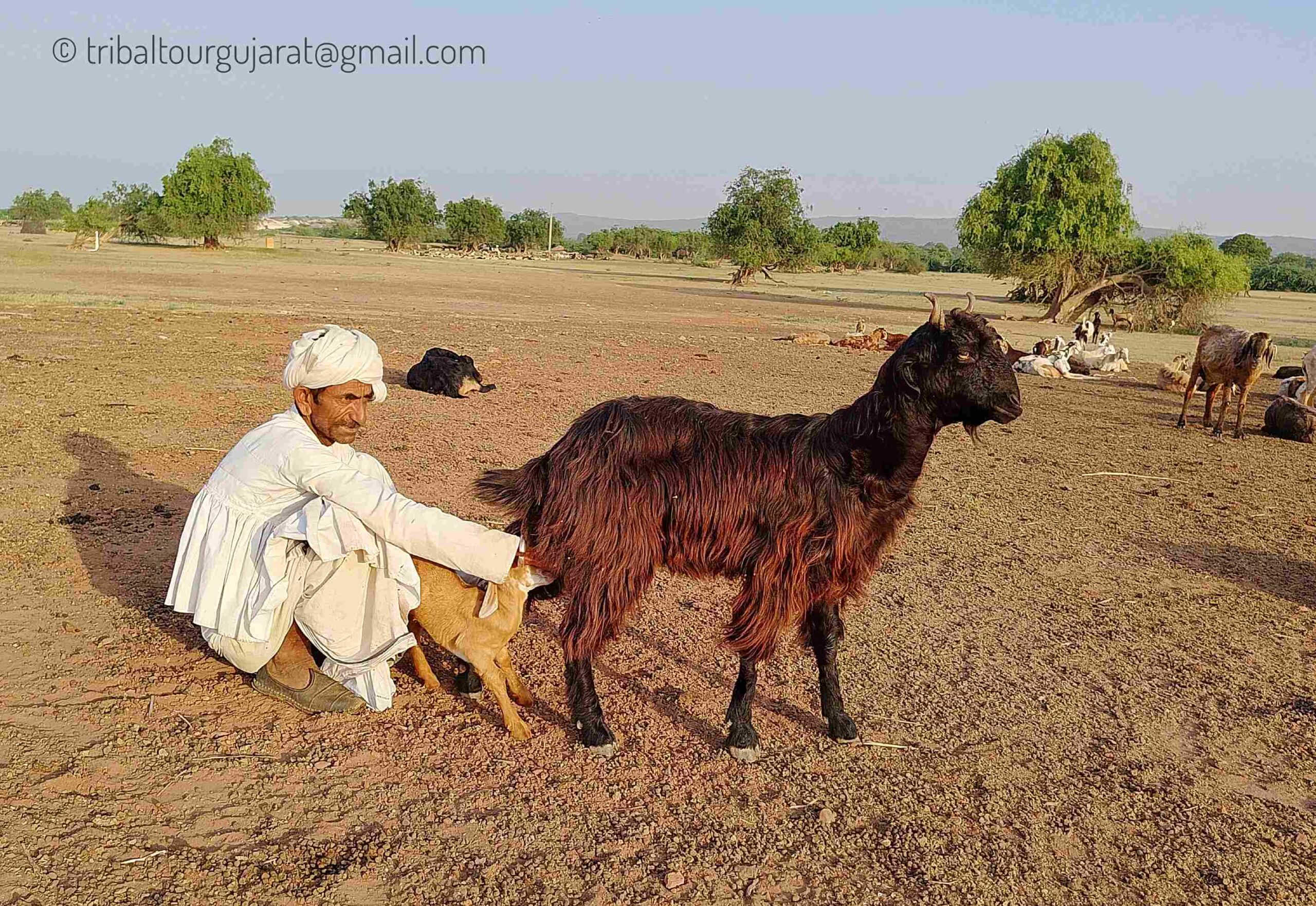 IMG_20231020_074531-01.jpeg_11_11zon